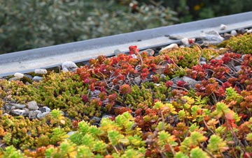 the cost of Abbotsbury green roof installation