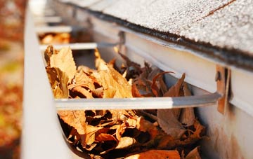 Abbotsbury gutter cleaning companies