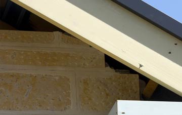 soffit repair Abbotsbury
